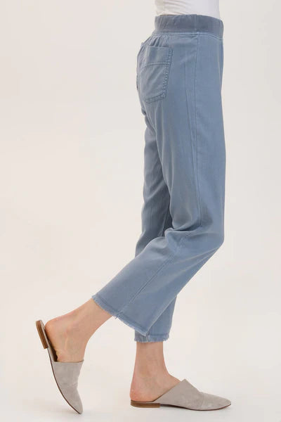 Sarla Ankle Pant by Wearables in Orion Blue