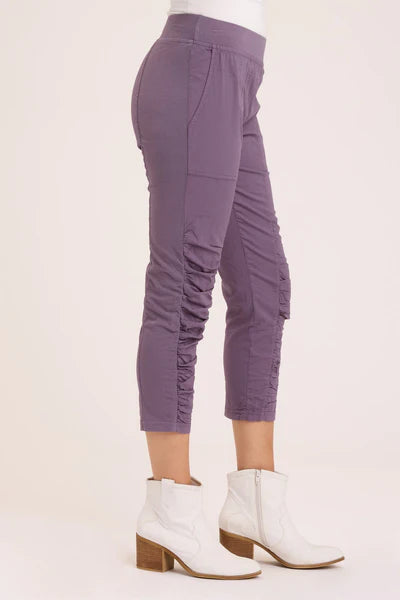 Geyser Crop Pants by Wearables in Black Adder