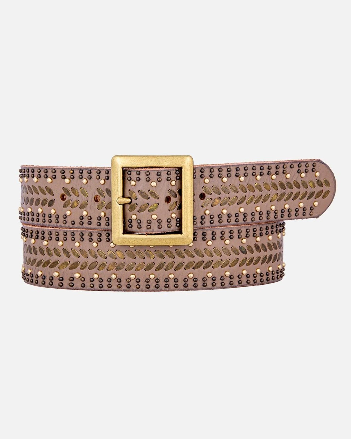 Ezra Studded Leather Belt with Square Buckle by Amsterdam Heritage in Taupe