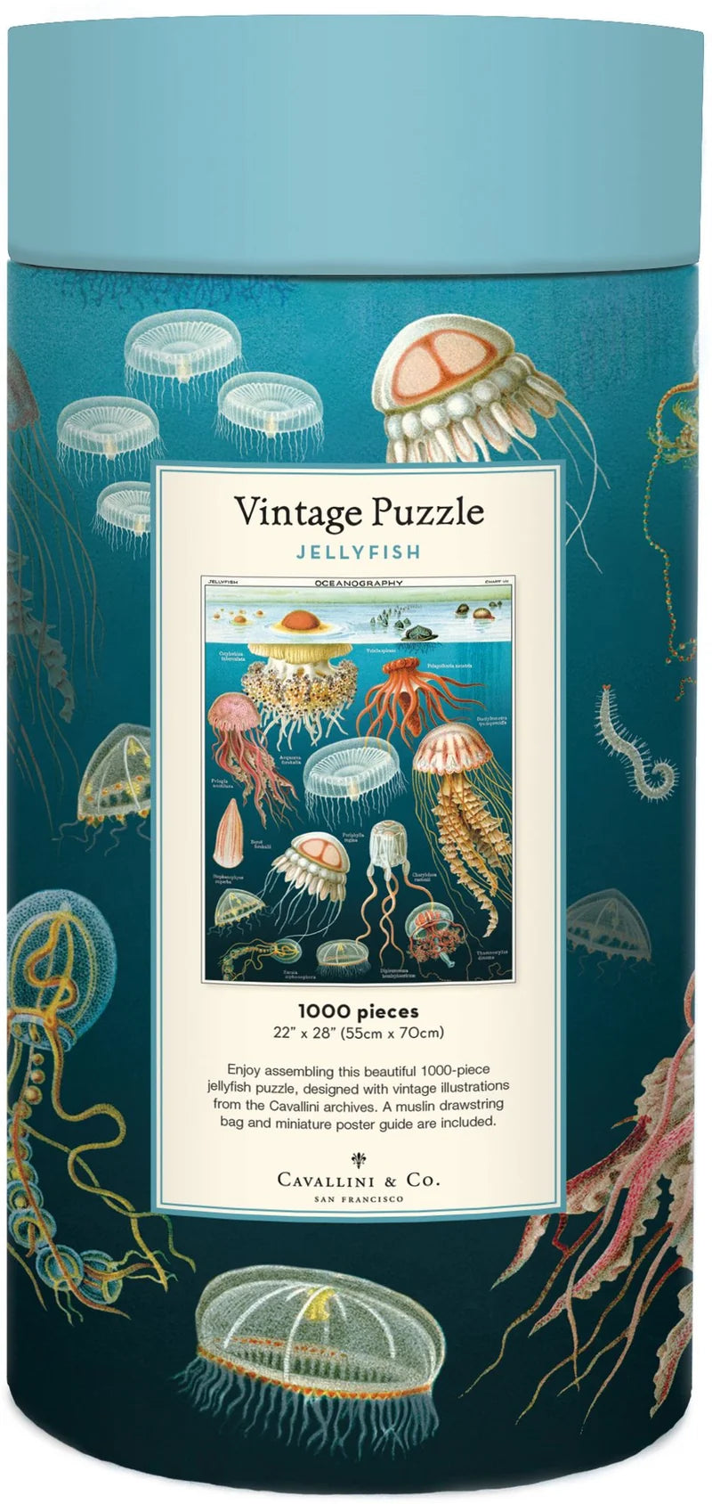 1000 Piece Jellyfish Puzzle by Cavallini Papers & Co