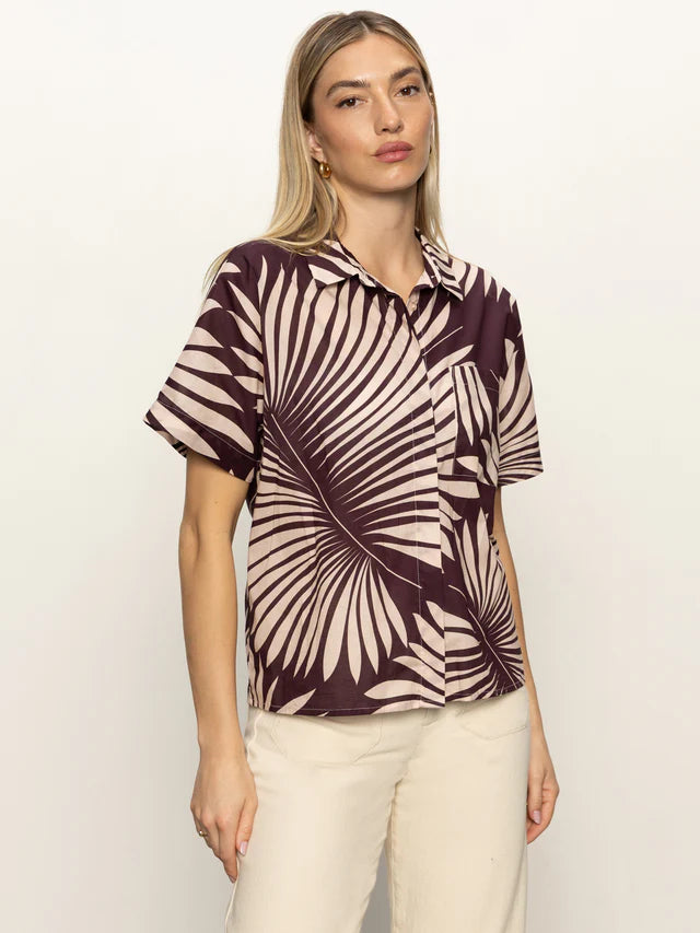 Sanc Souvenir Shirt by Sanctuary in Mesa Palm