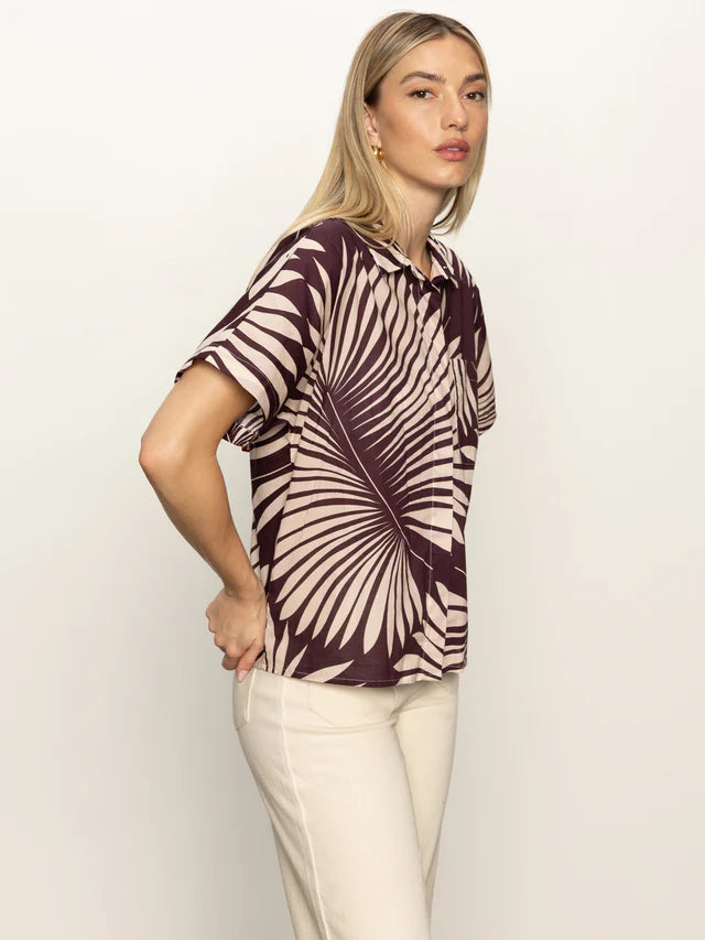 Sanc Souvenir Shirt by Sanctuary in Mesa Palm
