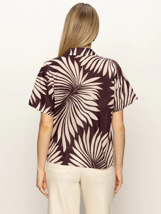 Sanc Souvenir Shirt by Sanctuary in Mesa Palm