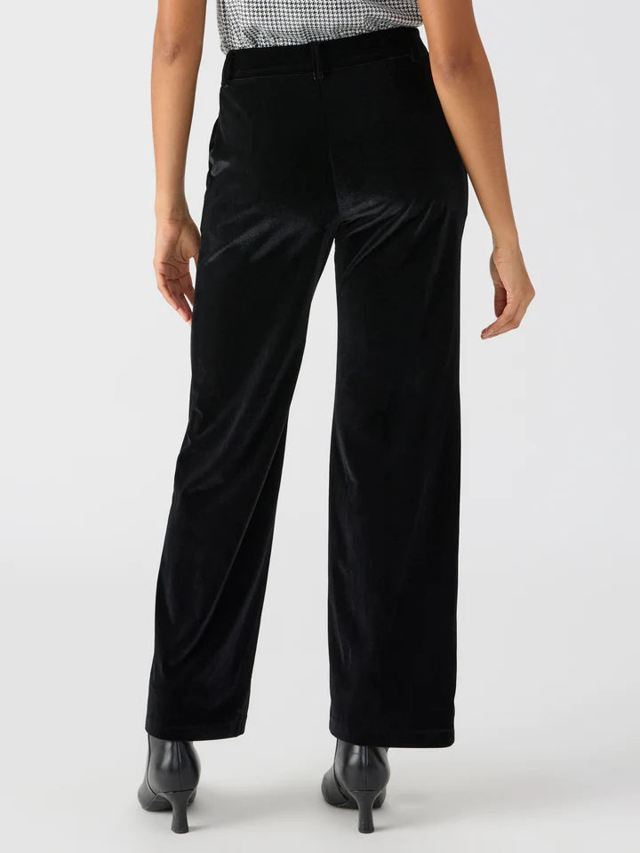 Faye Semi High Rise Velvet Trouser by Sanctuary in Black
