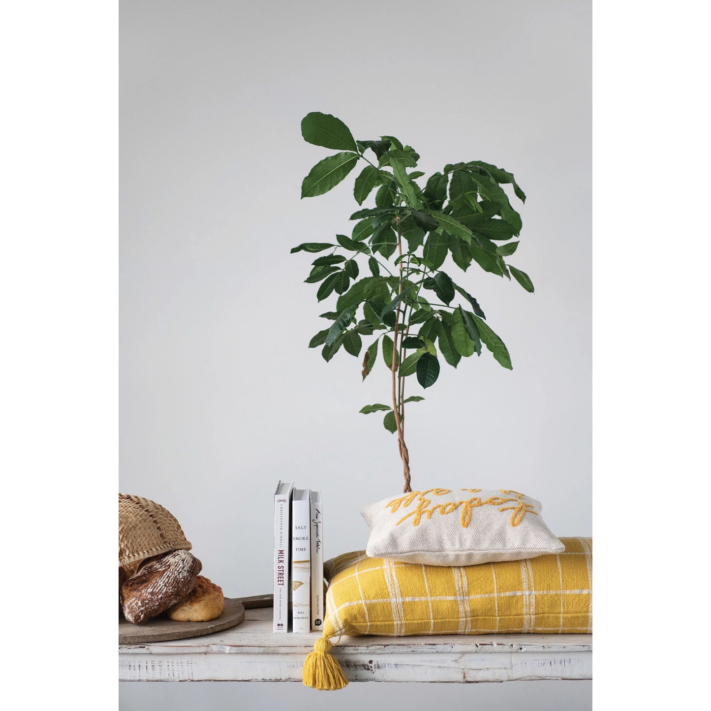 "Today Is A Gift" Embroidered Cotton Lumbar Pillow by Creative Co-Op