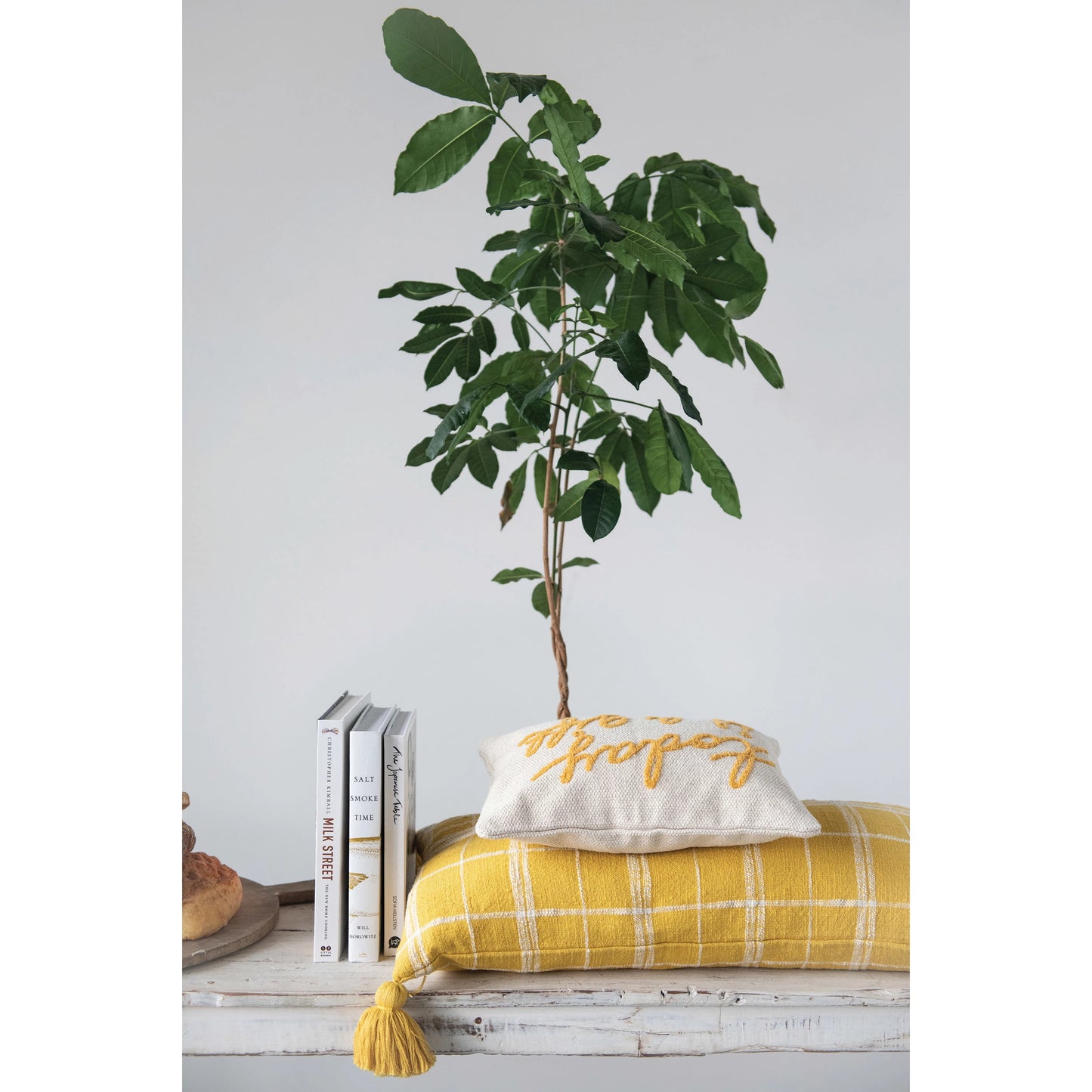 "Today Is A Gift" Embroidered Cotton Lumbar Pillow by Creative Co-Op