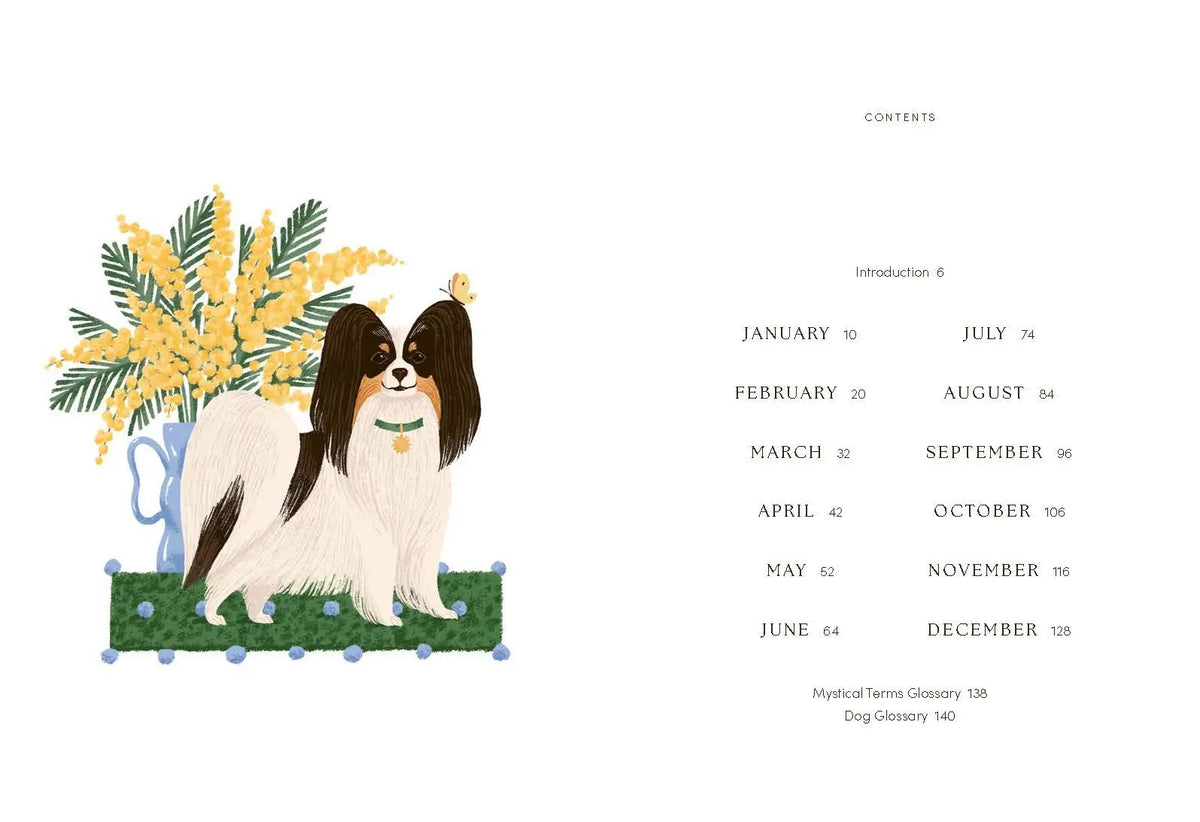 The Dog Year by Chronicle Books