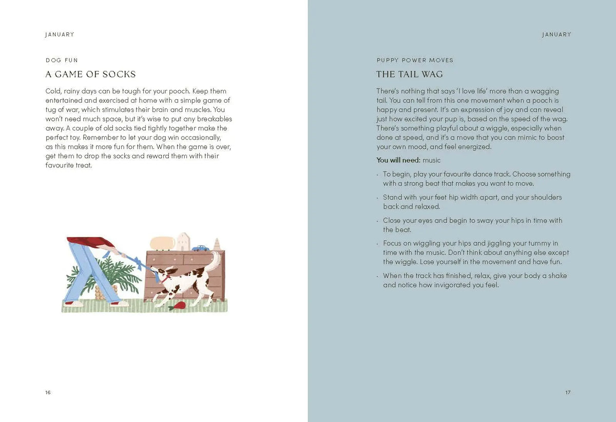 The Dog Year by Chronicle Books
