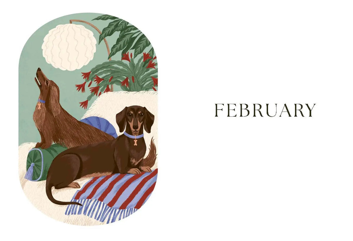 The Dog Year by Chronicle Books