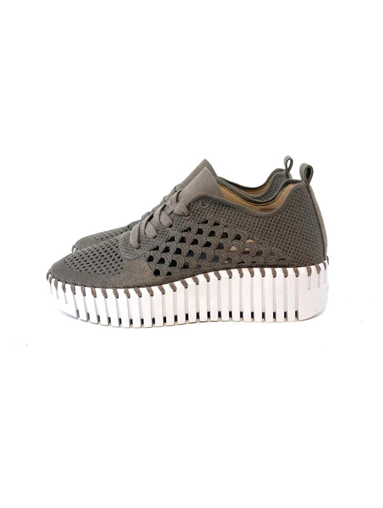 Tulip Electric Embroidery Wedge Shoe by Ilse Jacobsen in Falcon