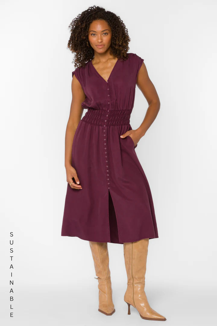 Persa Dress by Velvet Heart in Malbec
