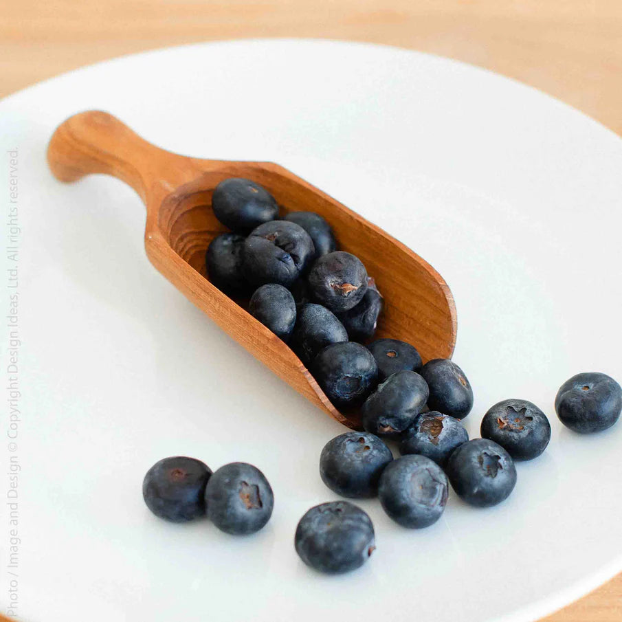 Chiku™ scoop by Design Ideas