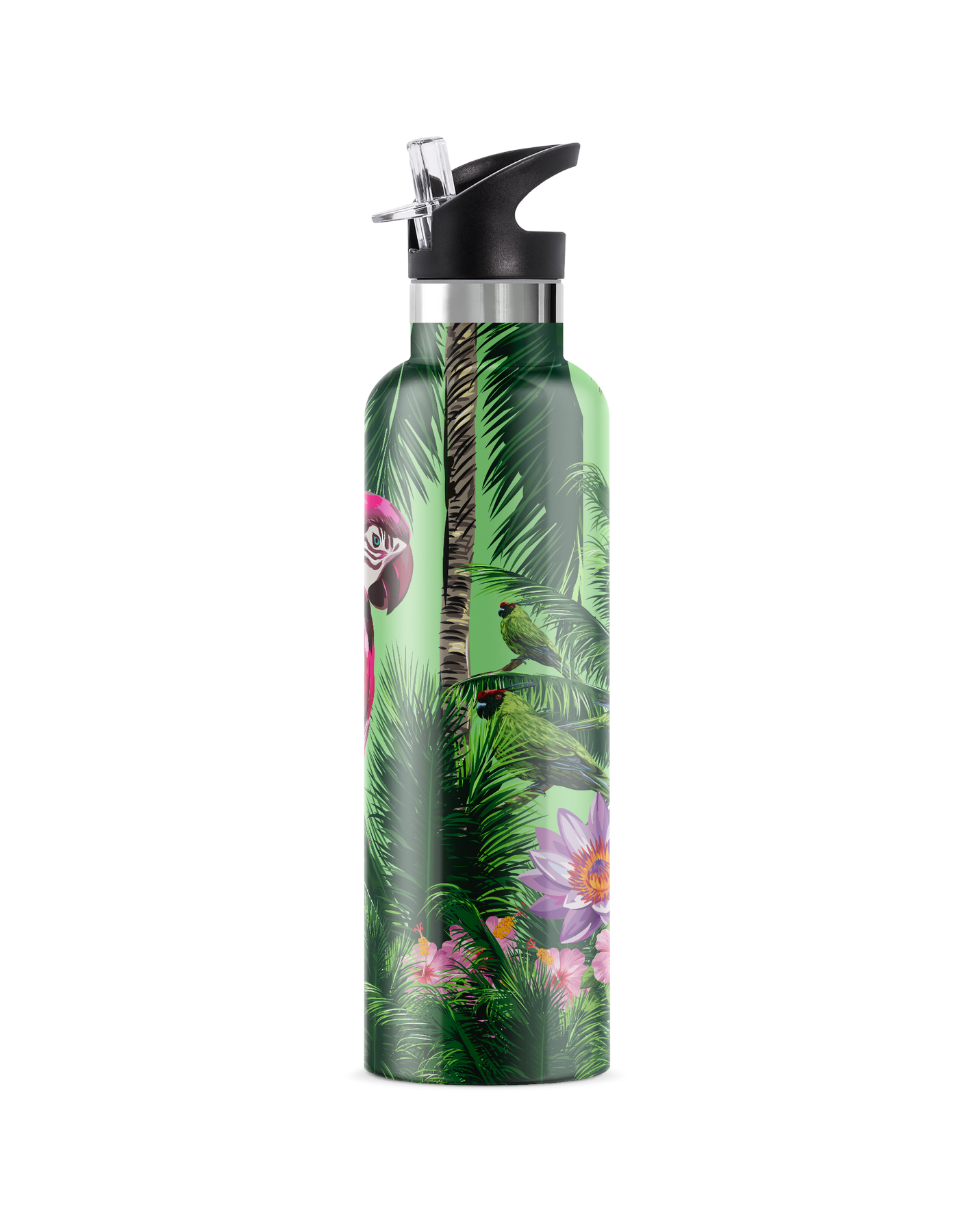 Macaw 25oz. Insulated Water Bottle by My Bougie Bottle