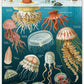 1000 Piece Jellyfish Puzzle by Cavallini Papers & Co