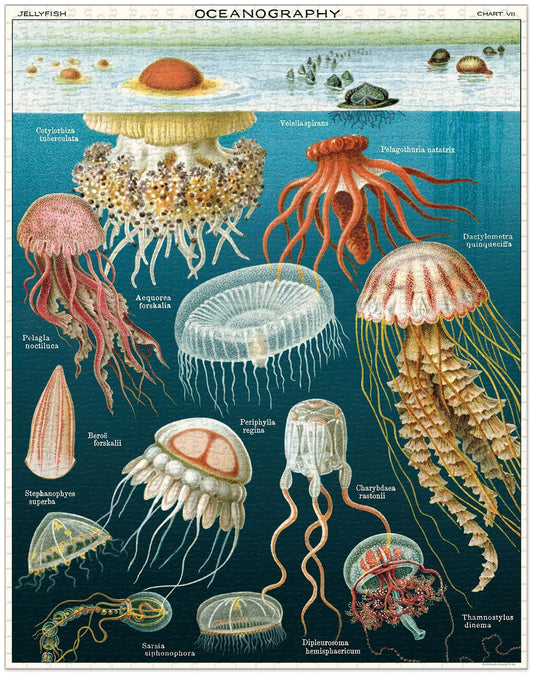 1000 Piece Jellyfish Puzzle by Cavallini Papers & Co
