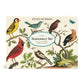 Birds Stationary Set by Cavillini Papers & Co