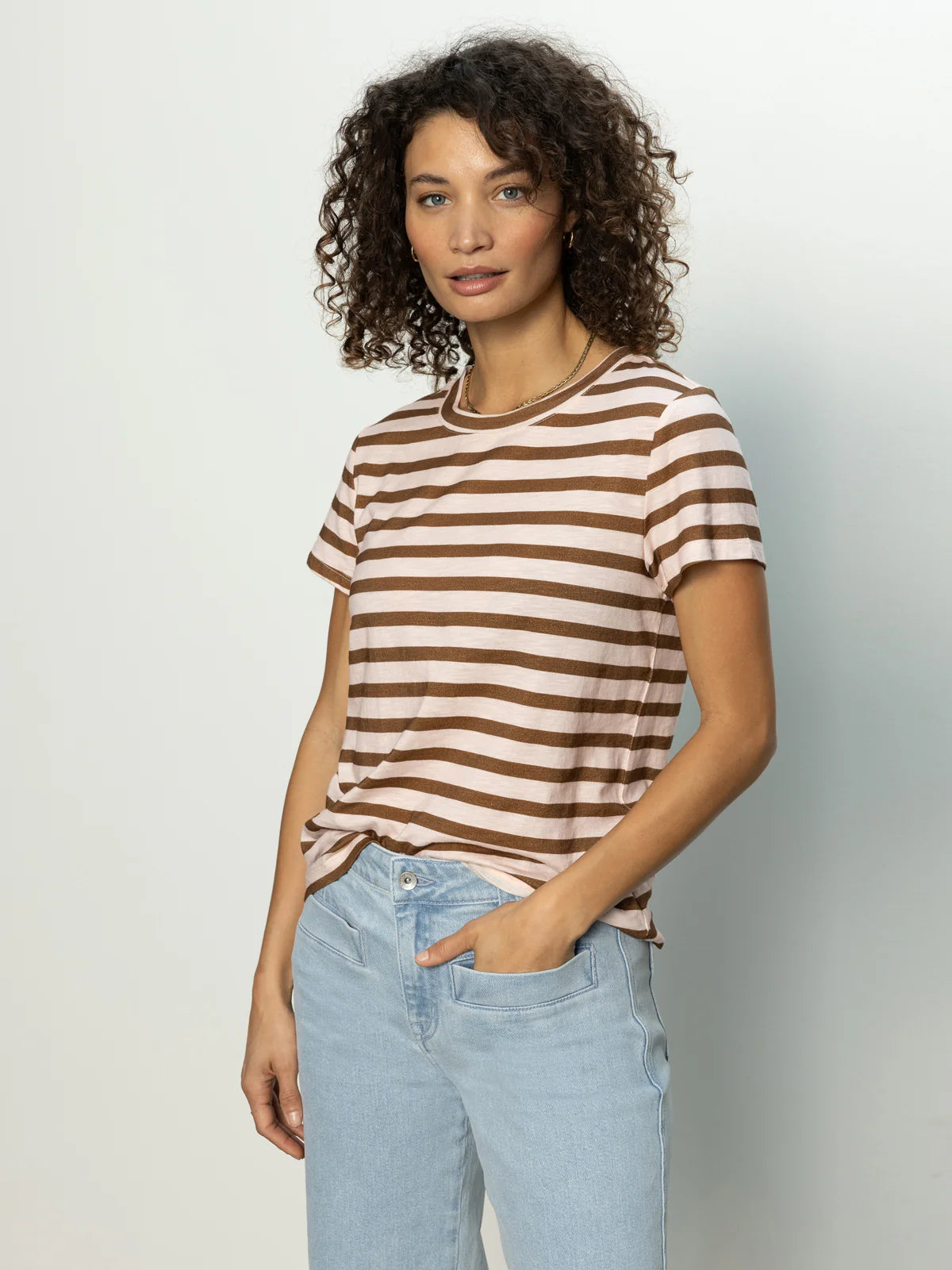 The Perfect Tee by Sanctuary in Earth Pink/Sepia Stripe