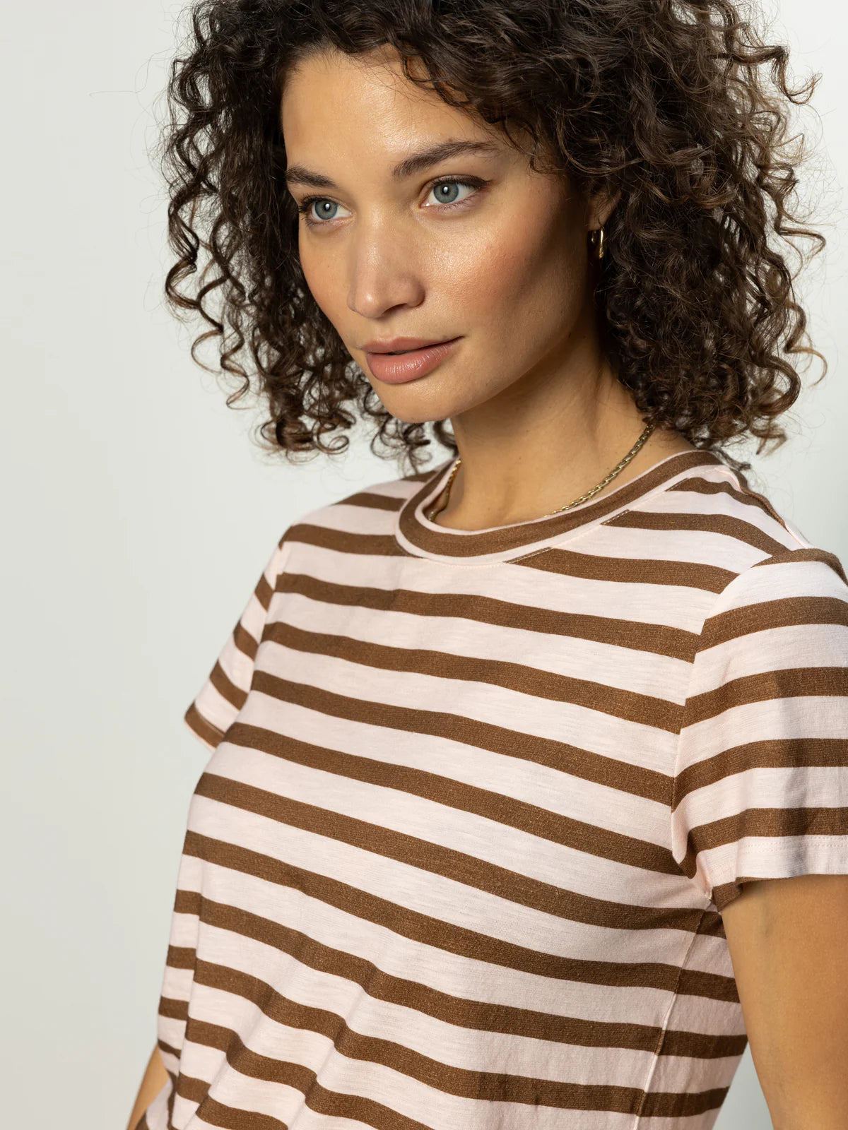 The Perfect Tee by Sanctuary in Earth Pink/Sepia Stripe