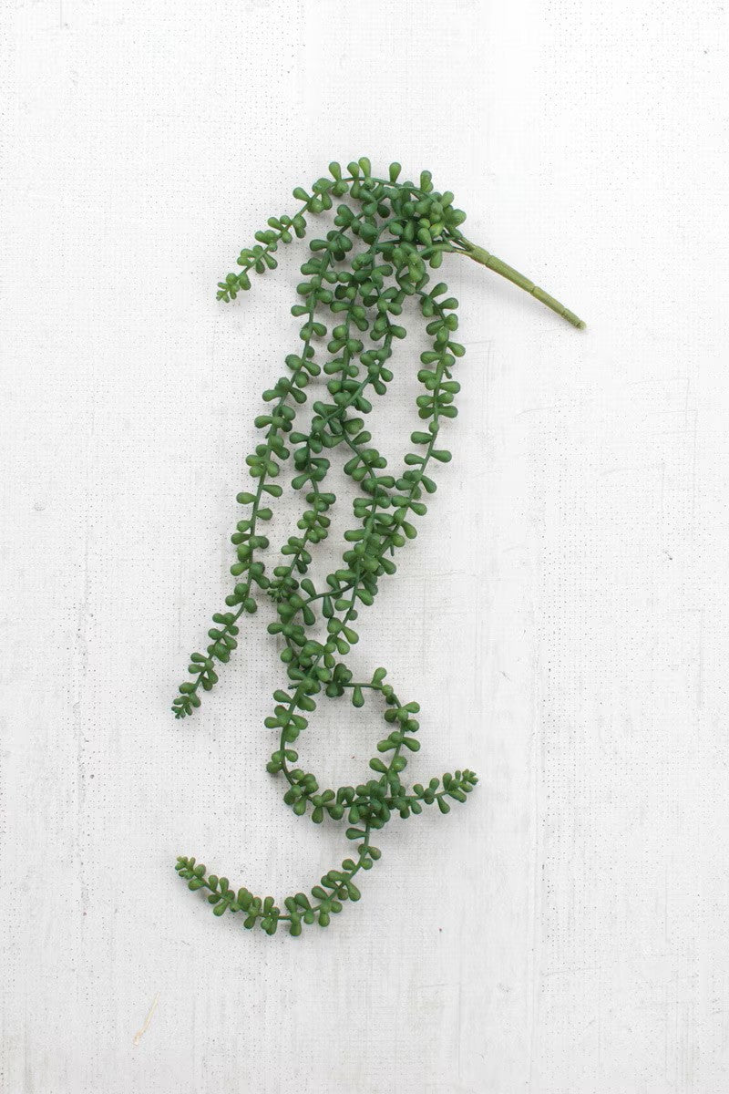Artificial necklace fern succulent by Kalalou