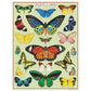 Butterflies 240 Pieces Mini Puzzle by Cavillini Papers & Co