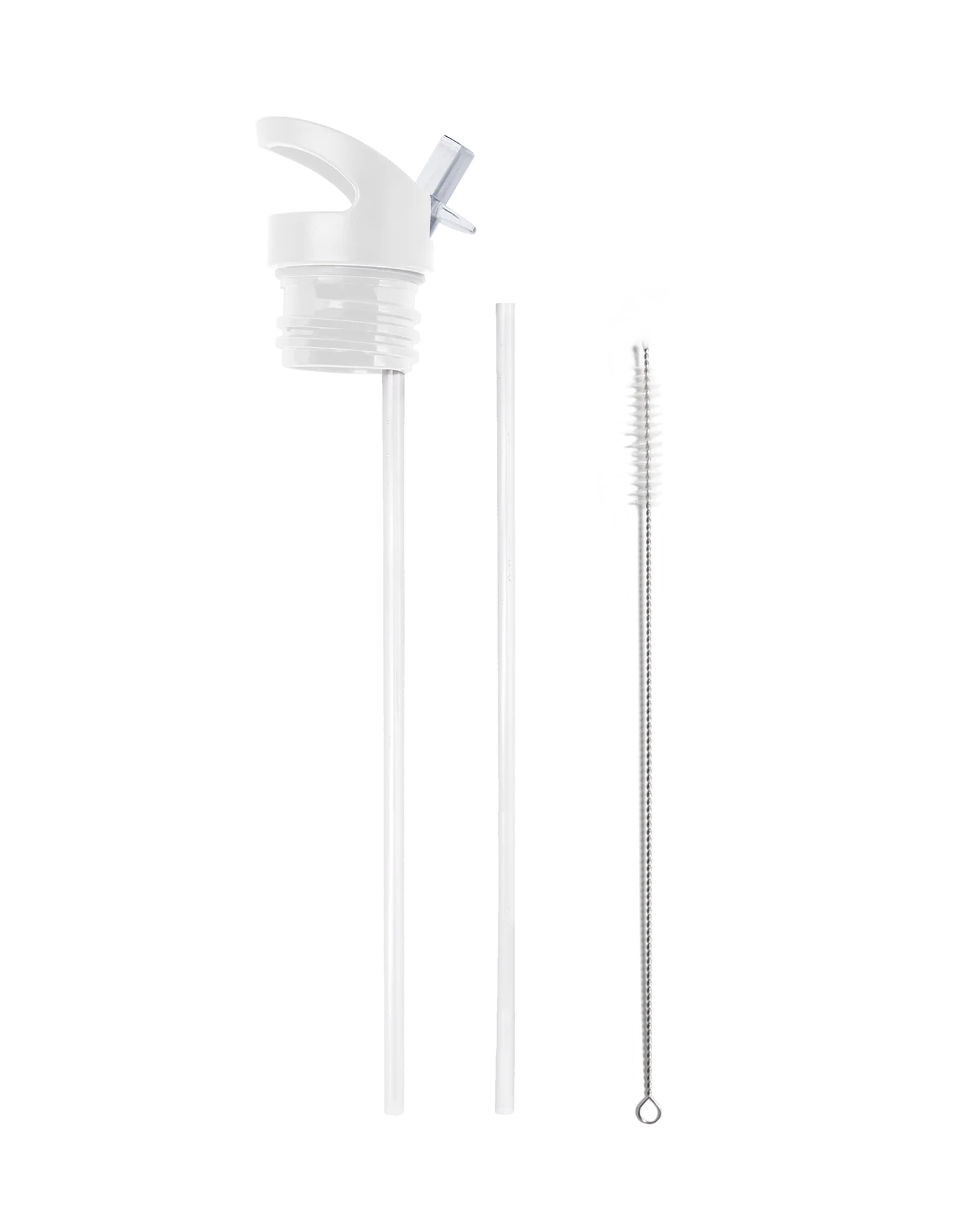 Conchas Maris 25oz. Insulated Water Bottle by My Bougie Bottle