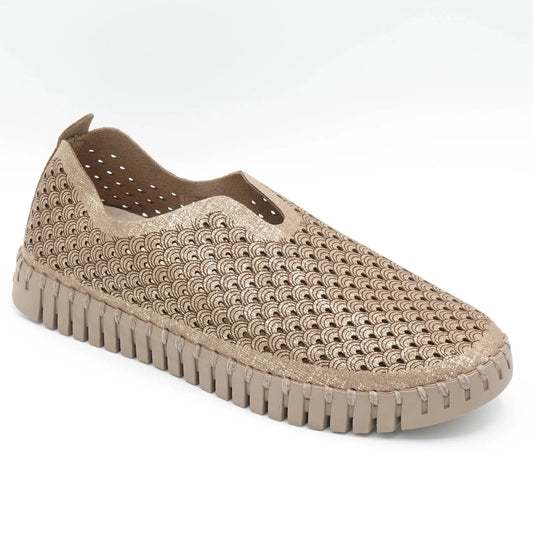 Tulip Slip-on Shoe by IIse Jacobsen in Falcon