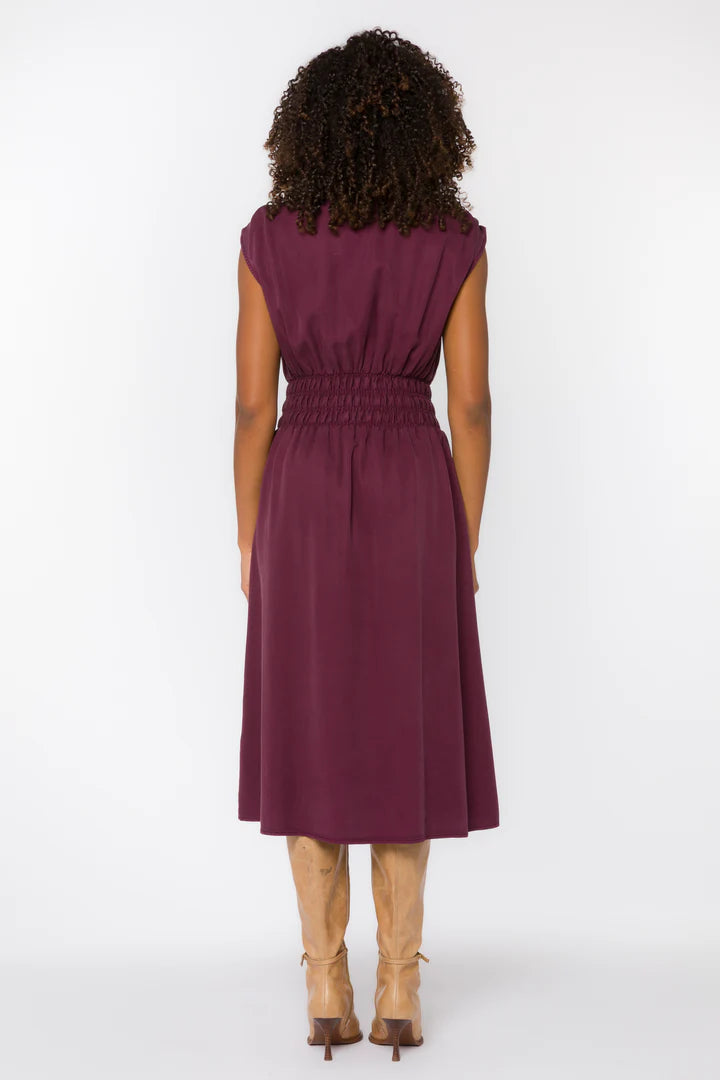 Persa Dress by Velvet Heart in Malbec