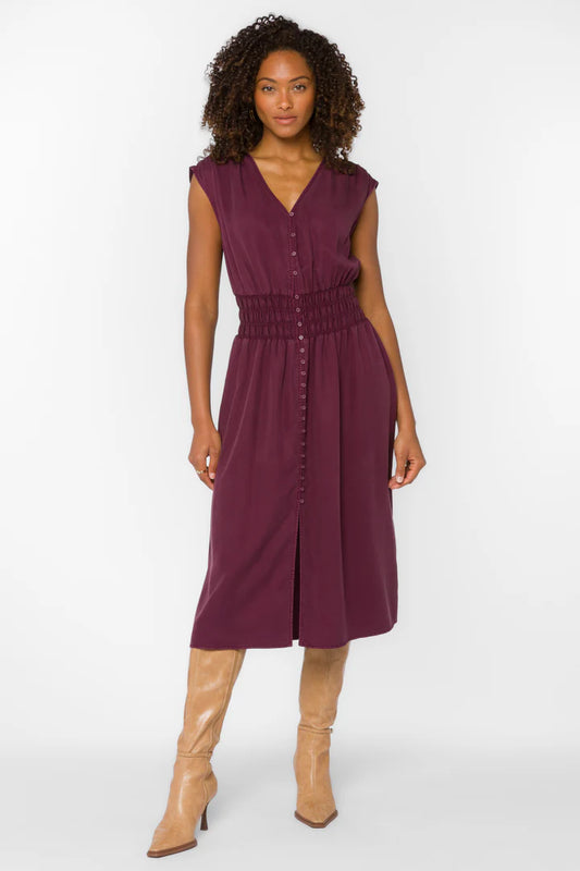 Persa Dress by Velvet Heart in Malbec