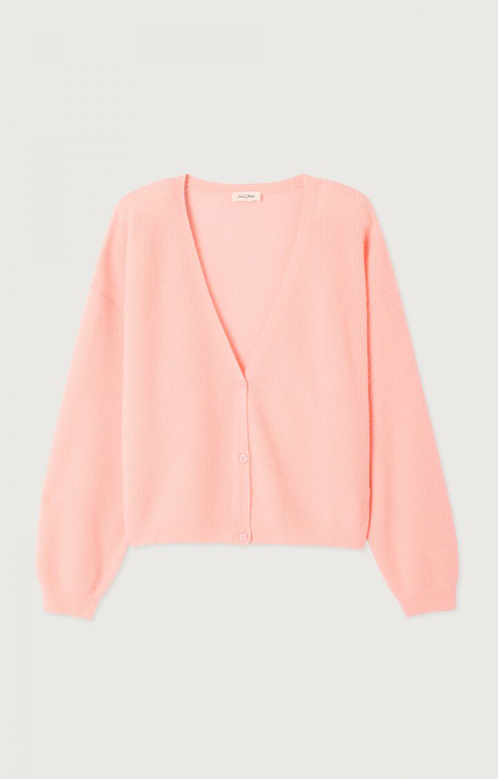 Raxow Sweater by American Vintage in Camelia