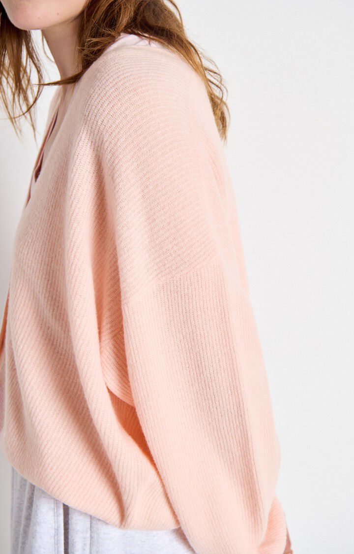 Raxow Sweater by American Vintage in Camelia