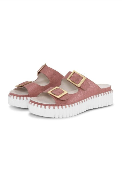 Tulip Slide Sandals by Ilse Jacobsen in Nougat