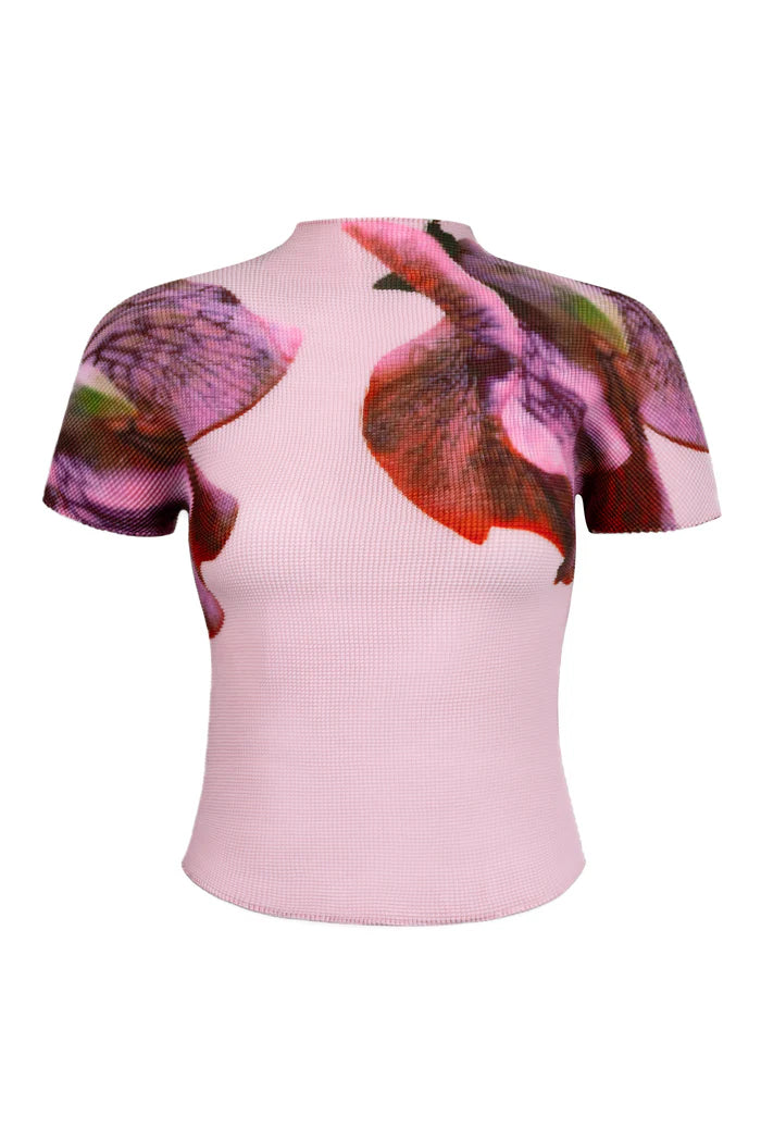 Agata Coral 3D Honeycomb Short Sleeve Texture Top by Wild Cosmos in Petal Pink