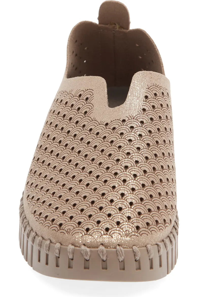 Tulip Slip-on Shoe by IIse Jacobsen in Falcon