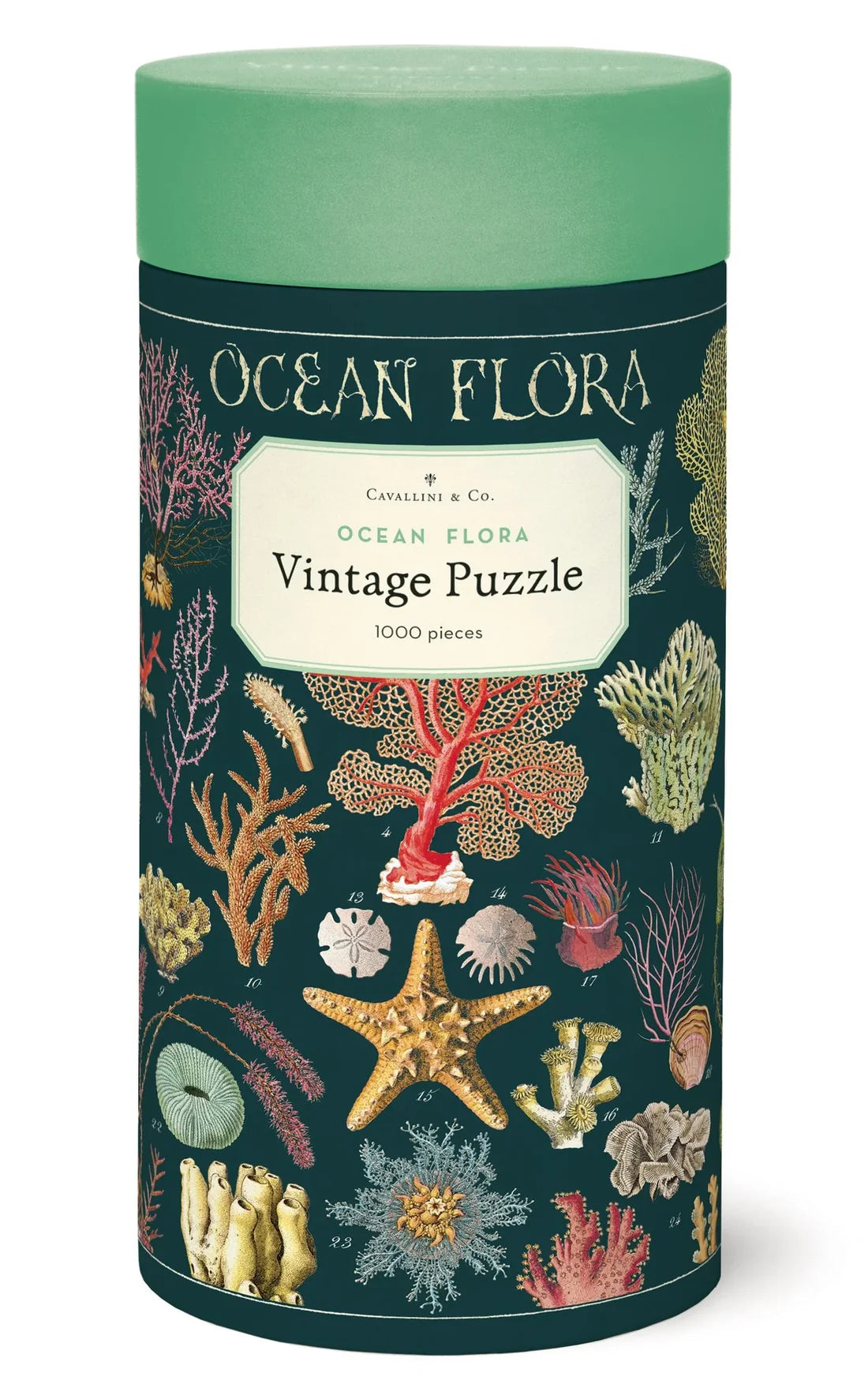 1000 Piece Ocean Flora Puzzle by Cavallini Papers & Co