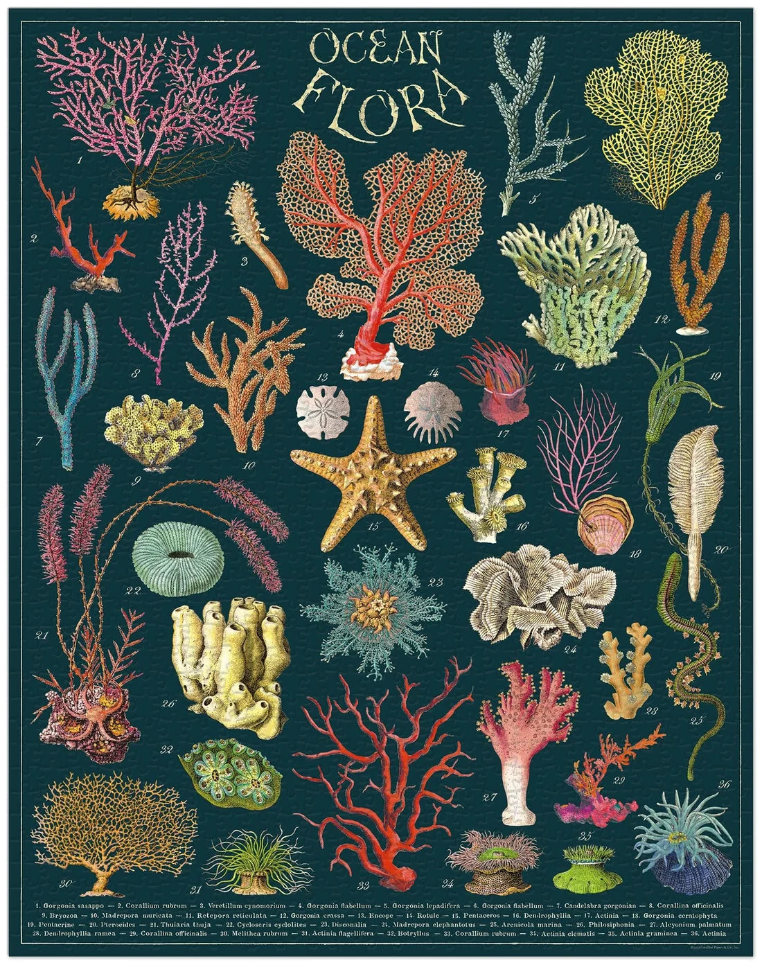 1000 Piece Ocean Flora Puzzle by Cavallini Papers & Co