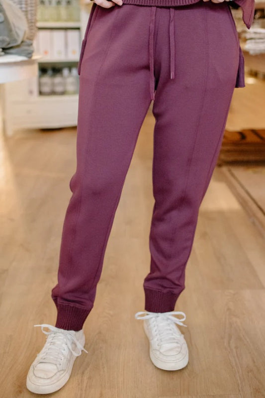Joselle Soft Knit Sweater Rib Drawstring Pull on Jogger by RD Style in Prune