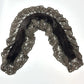 Rex Rabbit Lace Scarf by Linda Richards in Brown