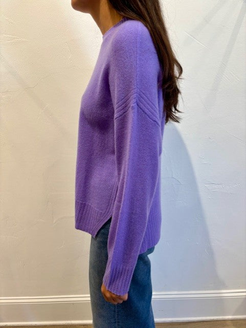 Gramercy Boxy Crew Sweater by Alashan in Veronica