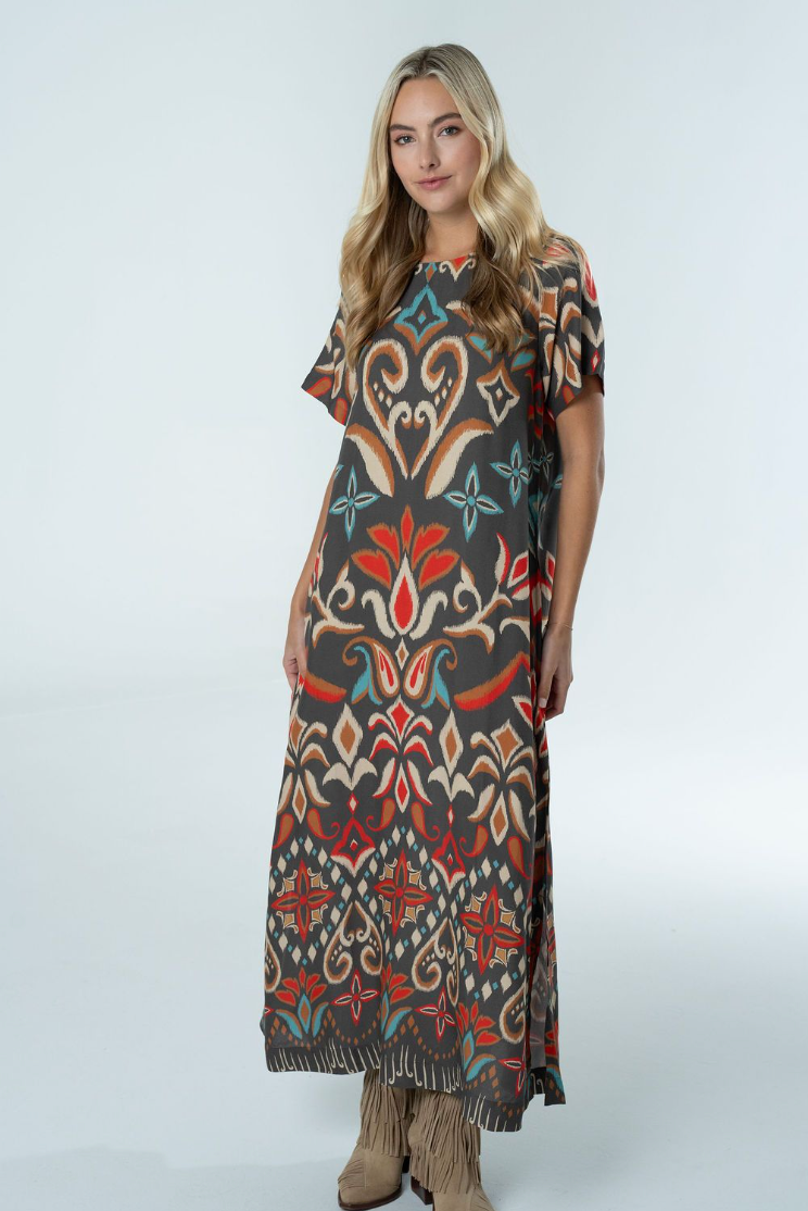 Diana Maxi Dress by Briton Court in Spiced Ikat