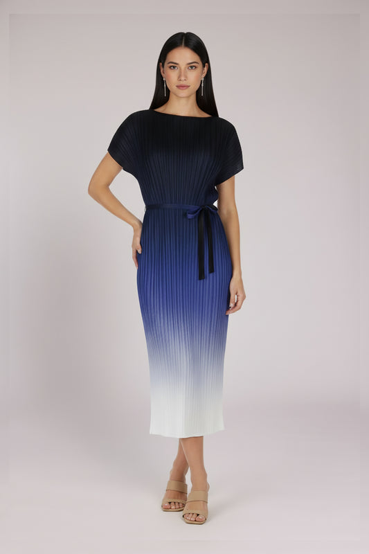Valentina Ombre Plisse Dress by Wild Cosmos in Navy Multi