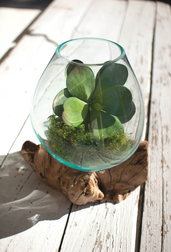 Blown Glass Bowl on Driftwood Base (Large) by Kalalou