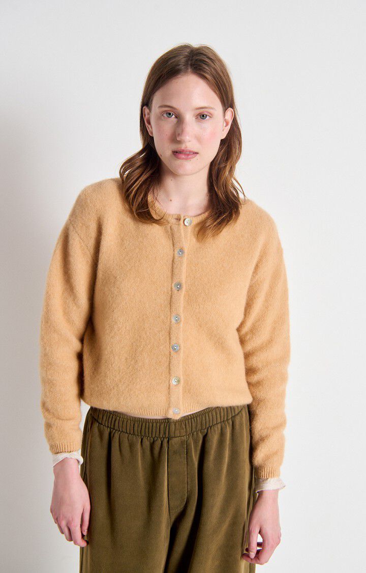 Vito Cardi Sweater by American Vintage in Noisette Chine