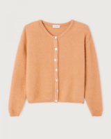 Vito Cardi Sweater by American Vintage in Noisette Chine