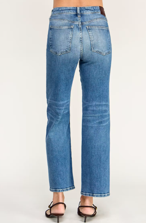 Zoey Straight Leg Jeans by Level 99 in Bondi